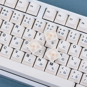 EPBT Gray English (ANSI) Keycap Set