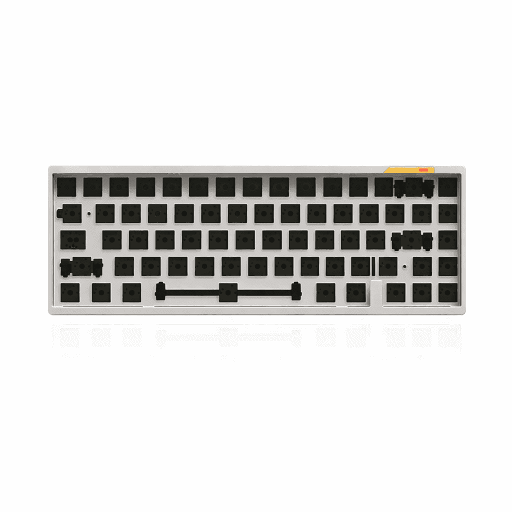ChatGPT_Image_Feb_23_2026_06_56_03_PM.png