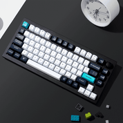 Keychron Q1 Max (ANSI) - InputGear DE
