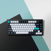 Keychron Q1 Max (ANSI) - InputGear DE