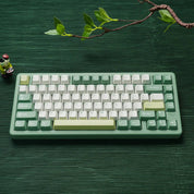 Womier SK75 (ANSI) Green - InputGear DE